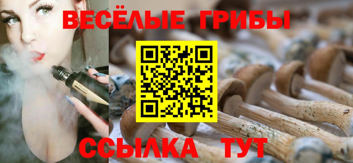 Галлюциногенные грибы MAGIC MUSHROOMS  дарнет шоп  Десногорск  Псилоцибиновые грибы Cubensis  Вход с VPN 