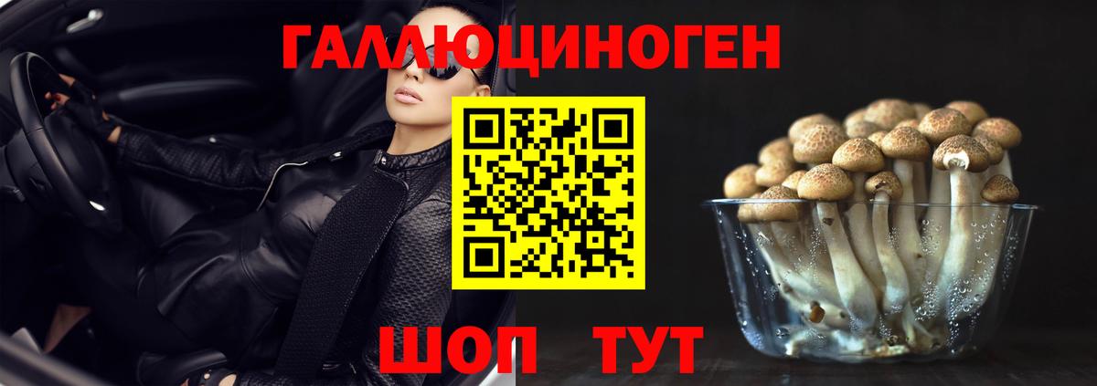 Псилоцибиновые грибы мицелий Десногорск